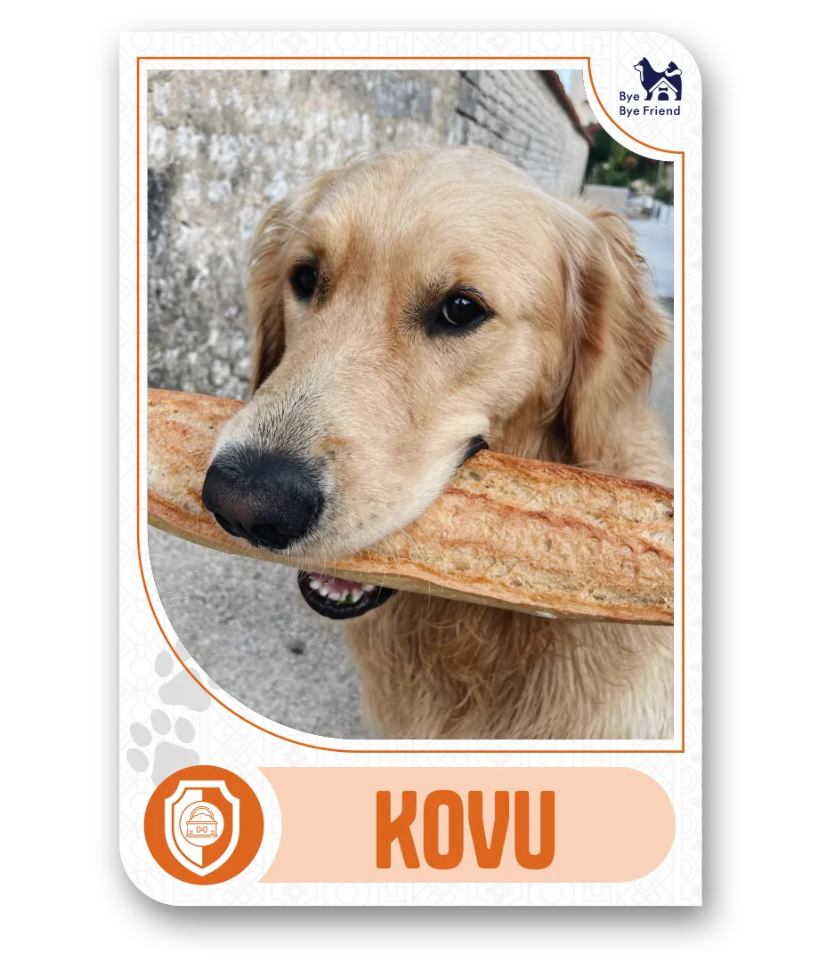 Kovu Card