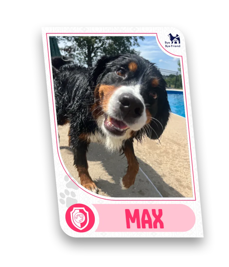 Max Card