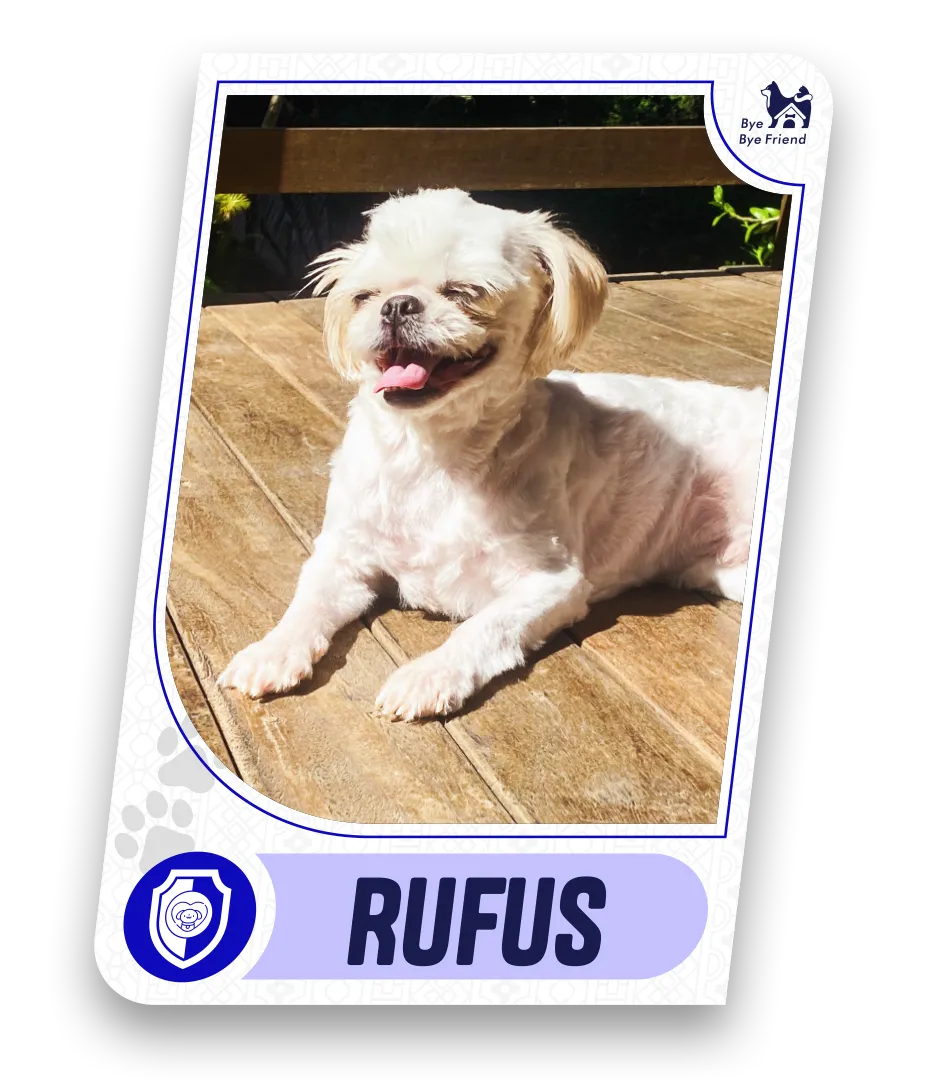 Rufus Card