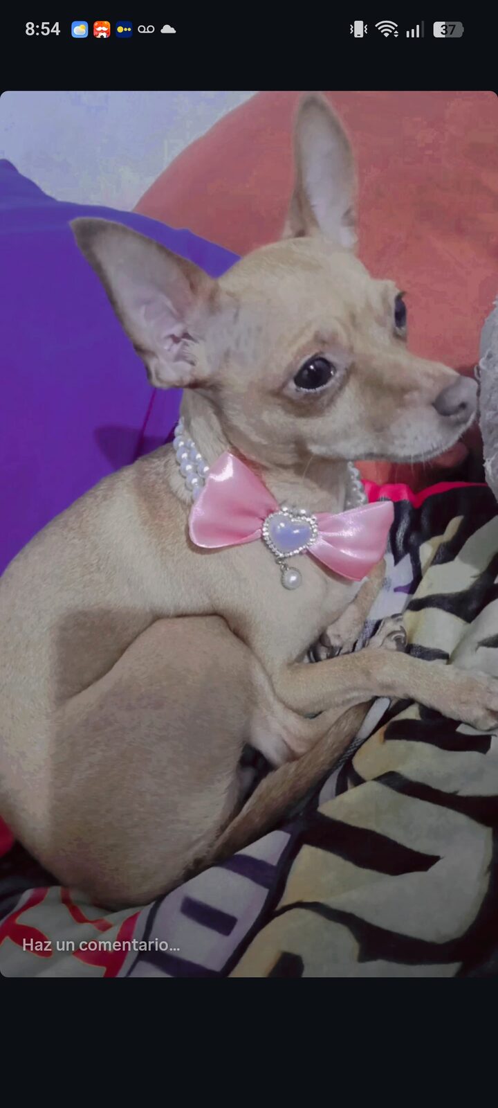 Lola