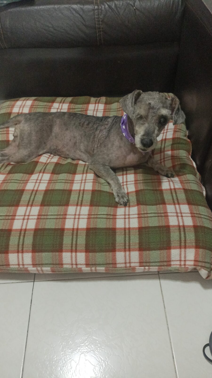 Kimy