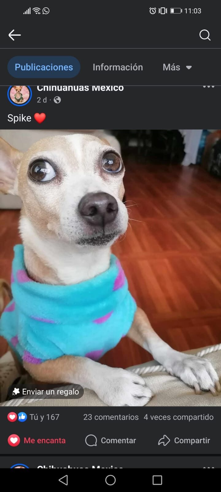 Totoli