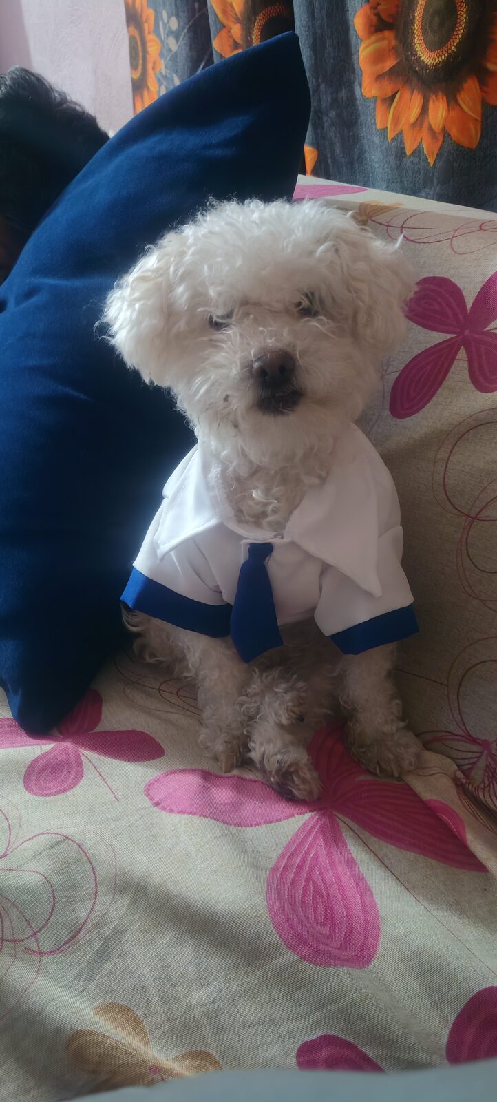 Pepa