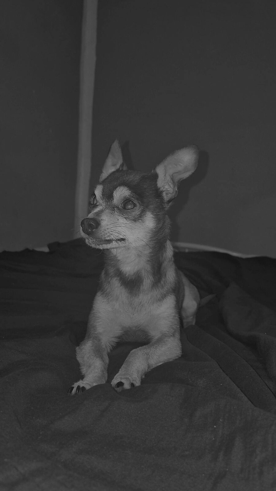 Pinky