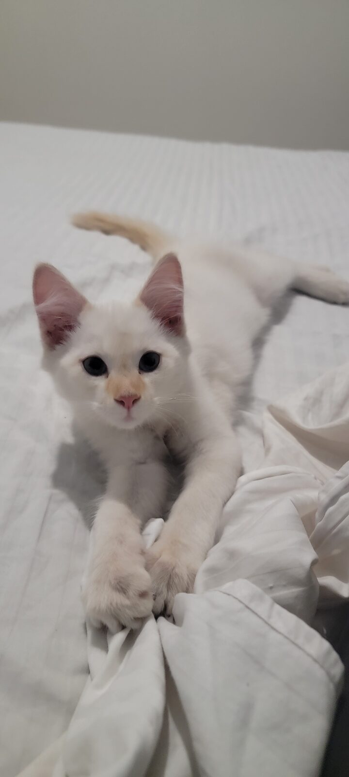 Gary
