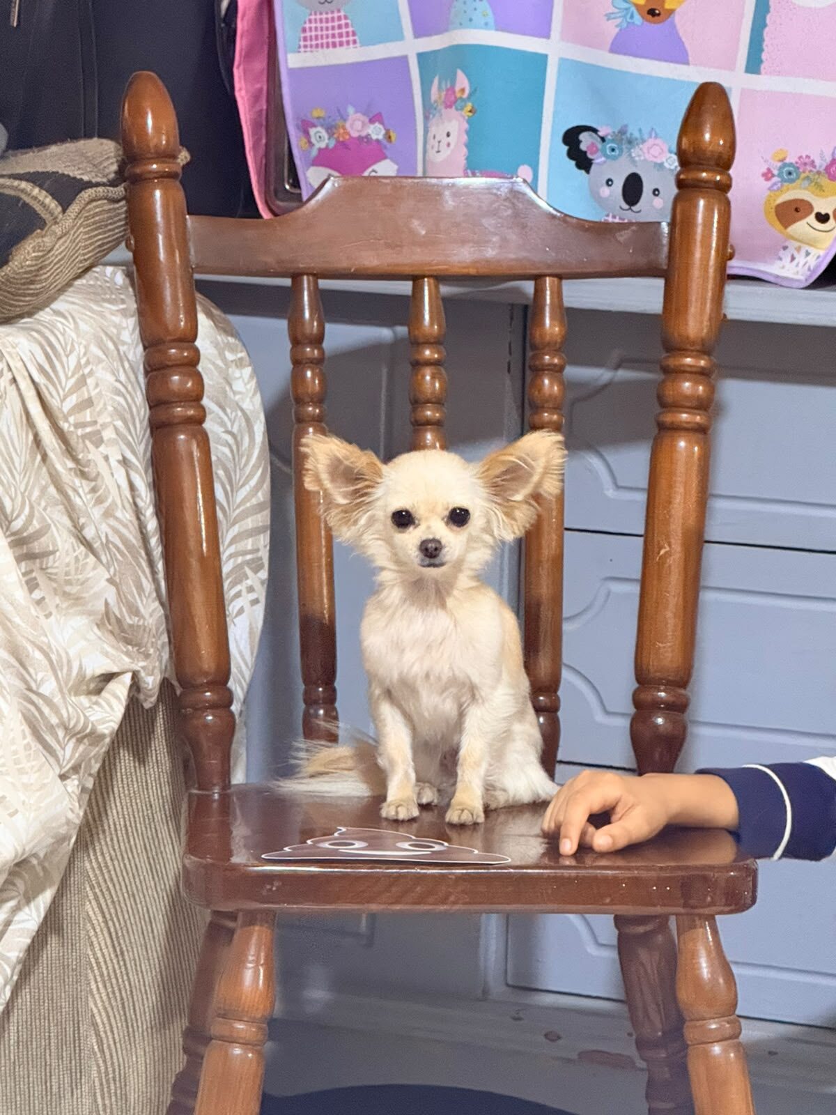 Mia
