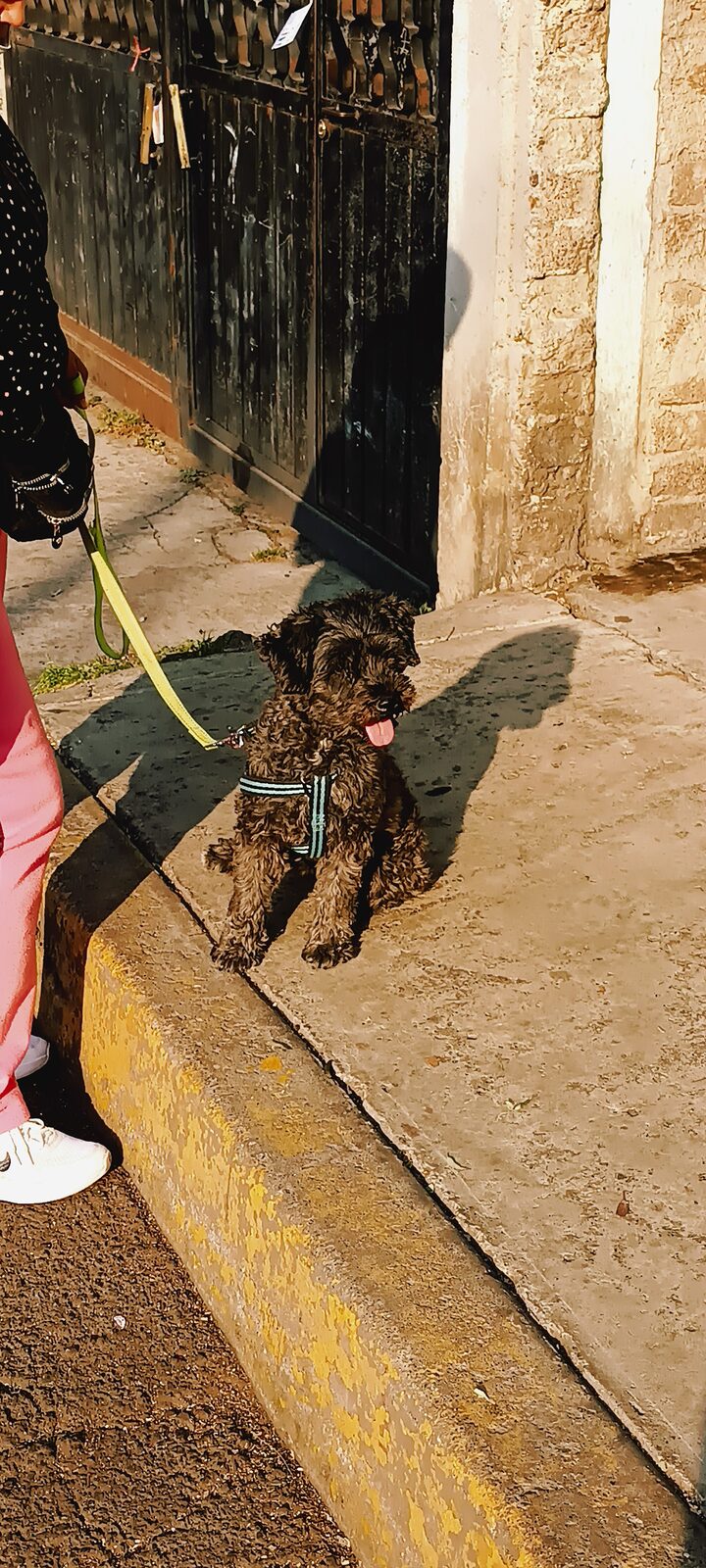 Luna