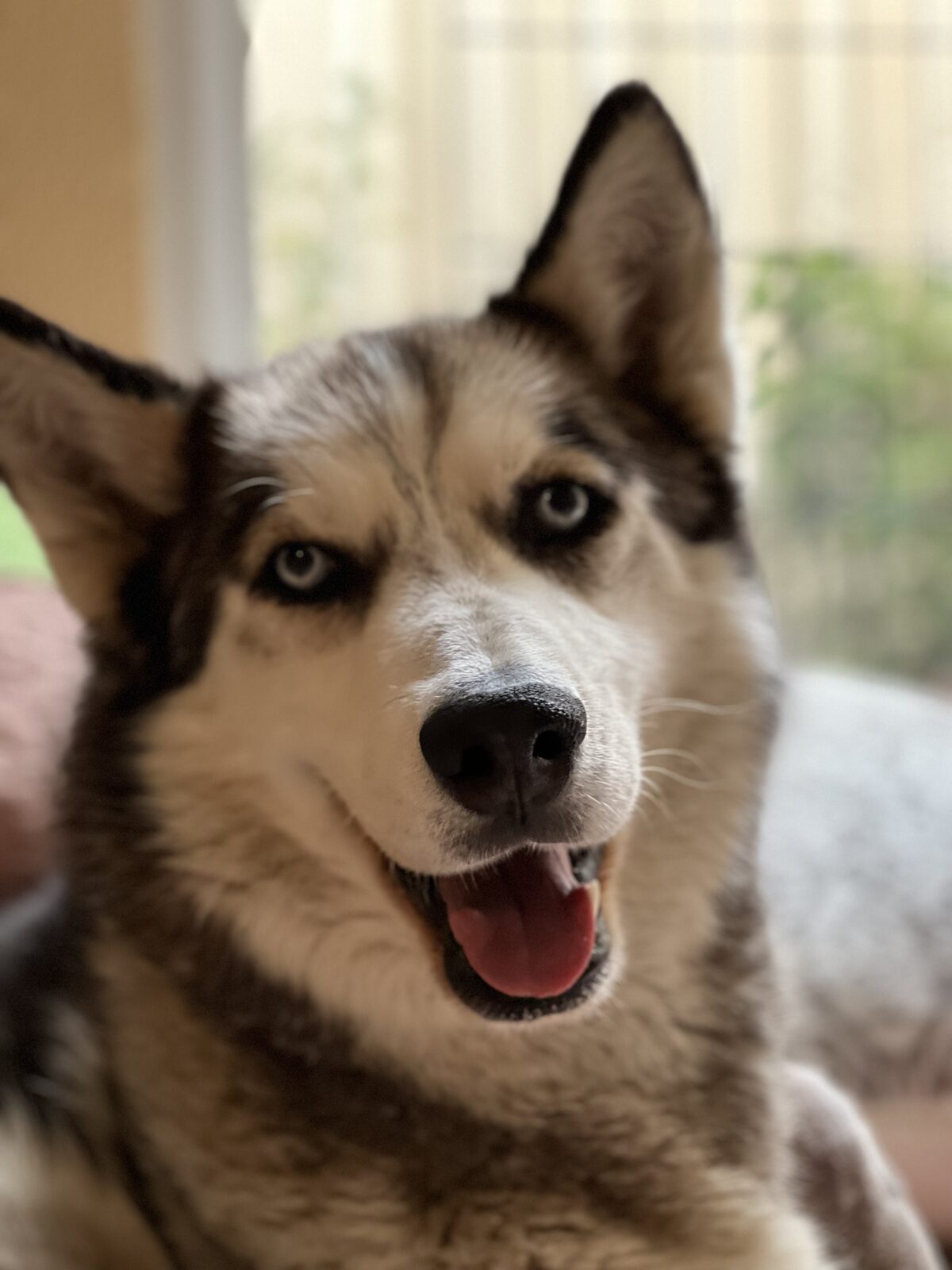 Kaiser