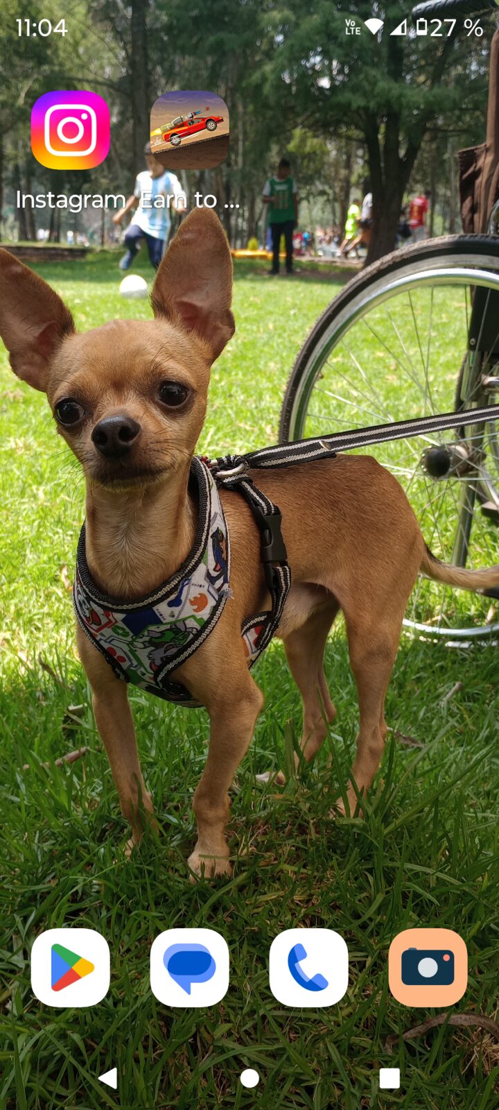 Fifi