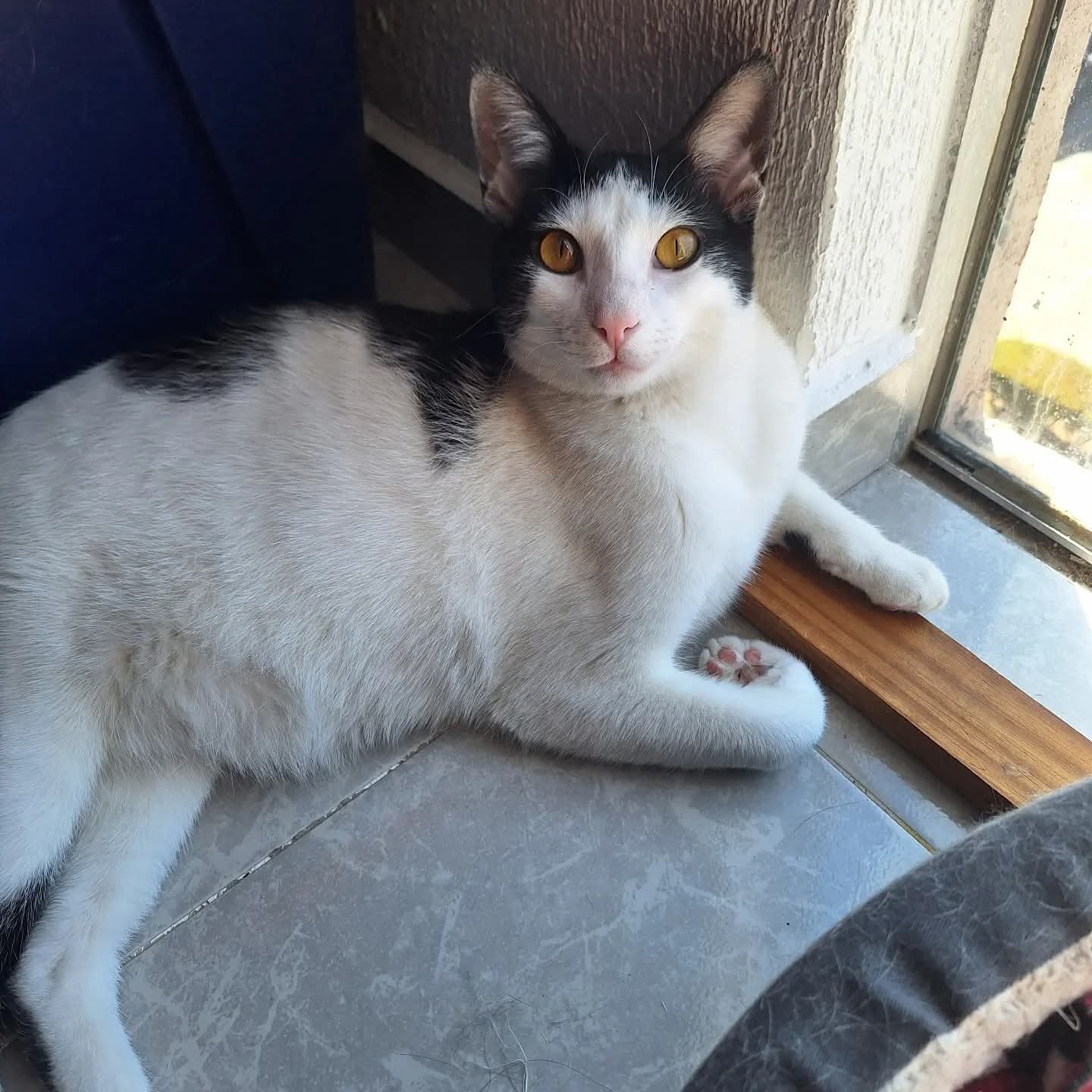 Diego