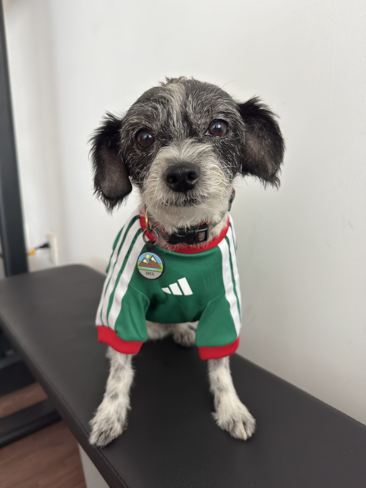 Oreo