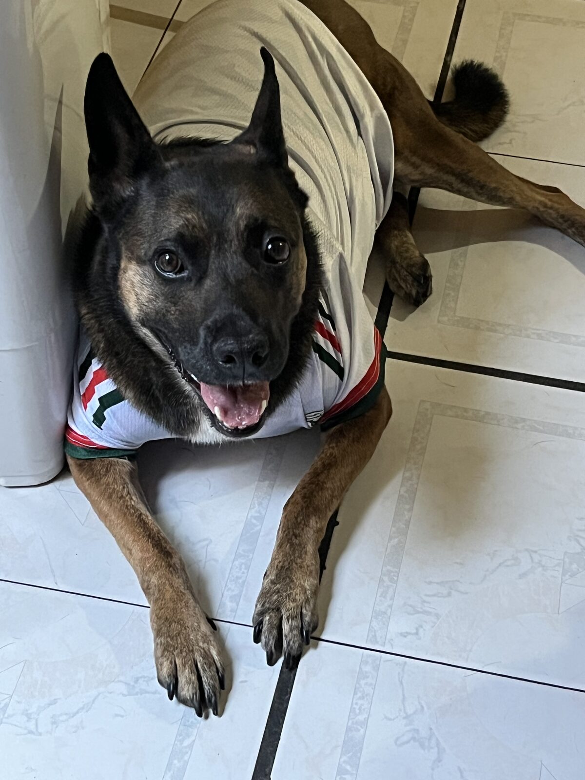 Canela