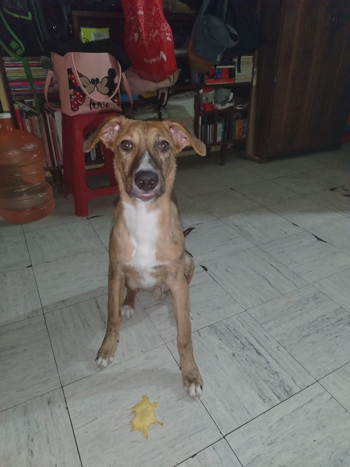 Churro