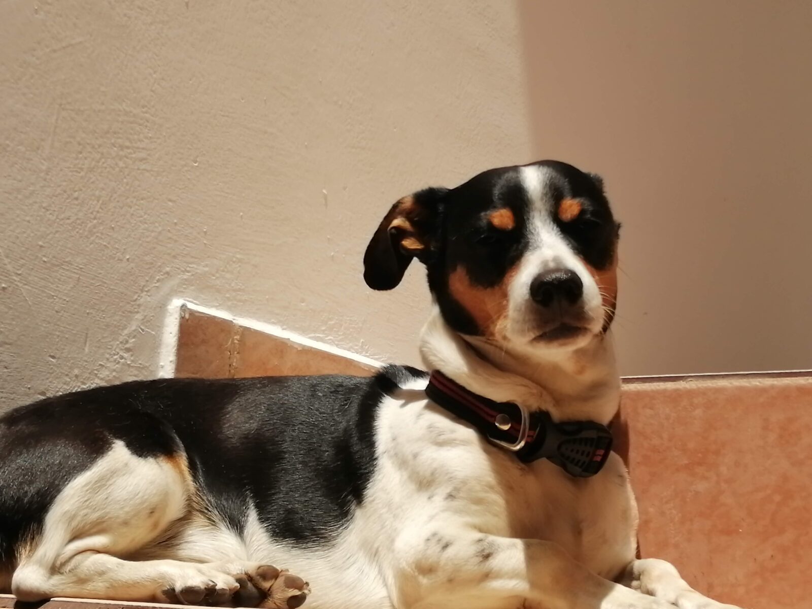 Merlín
